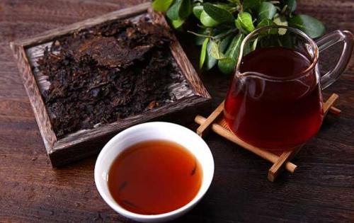 普洱茶