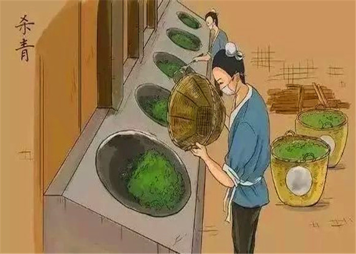 康合然普洱茶